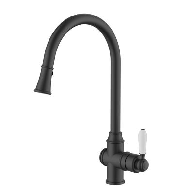 Bordeaux Pull-Out Kitchen Mixer Matte Black