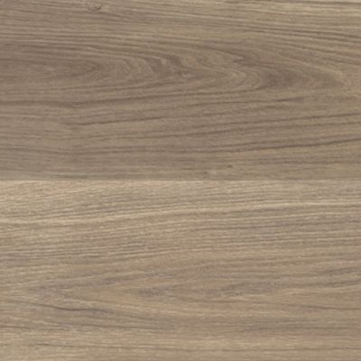 Heartridge Highland Oak Hybrid Autumn Harvest 