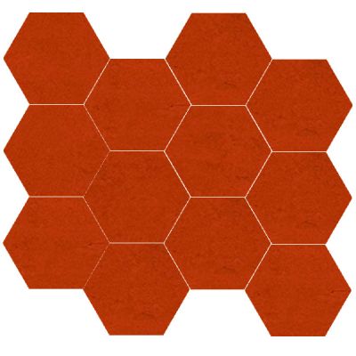Bloom Coral Hexagon Mosaic Matt