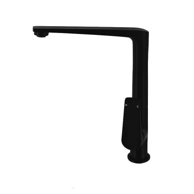 Cascade Kitchen Mixer Electroplated
Matt Black