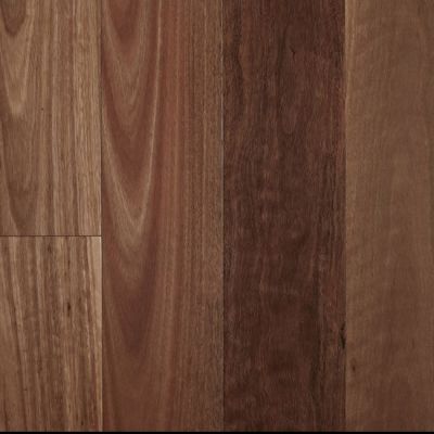 Fiddleback Engineered T&G Spotted Gum
