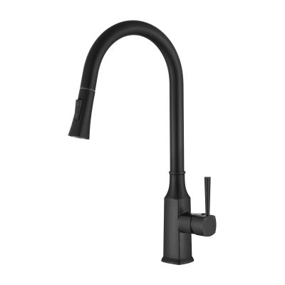 Helena Pull Out Kitchen Mixer Electroplated
Matt Black