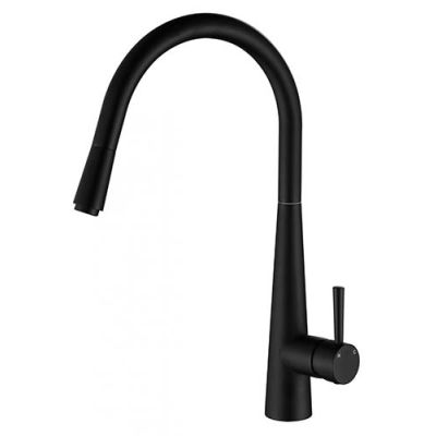 Kasper Pull Out Kitchen Mixer Electroplated
Matt Black