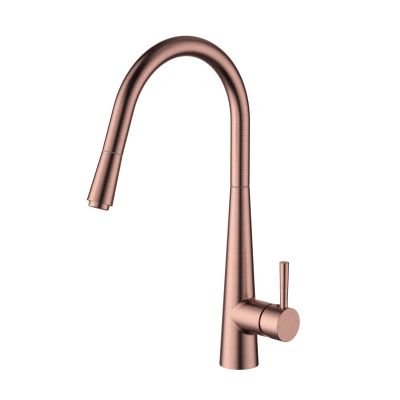 Kasper Pull Out Kitchen Mixer PVD
Champagne