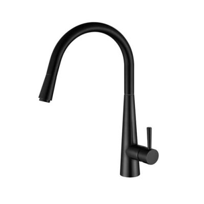 Kasper Pull Out Kitchen Mixer PVD
Gunmetal