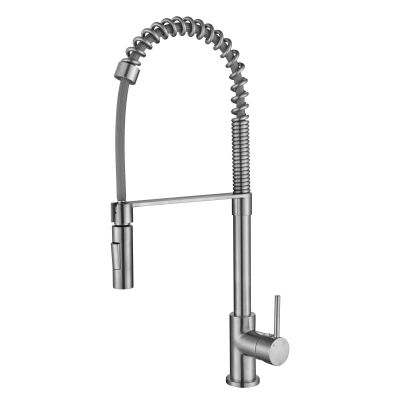 Kasper Spring Kitchen Mixer PVD
Brushed Nickel