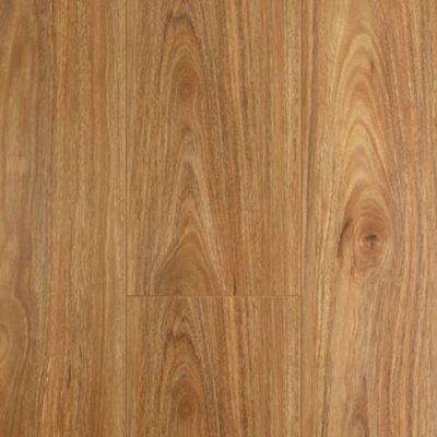 Oakleaf Laminate Click Spotted Gum