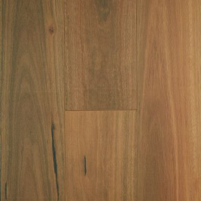 Oakleaf HD Plus Laminate Click Spotted Gum