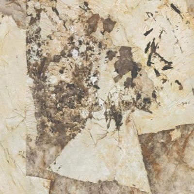 Marvel Gala Desert Soul Lappato