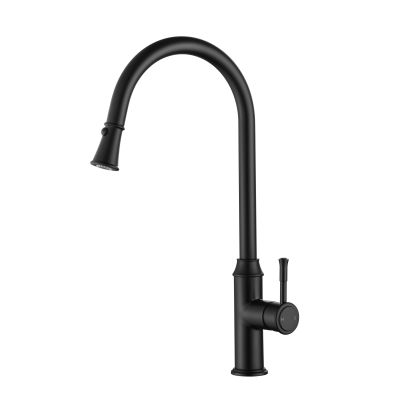 Montpellier Pull Out Kitchen Mixer Electroplated
Matt Black