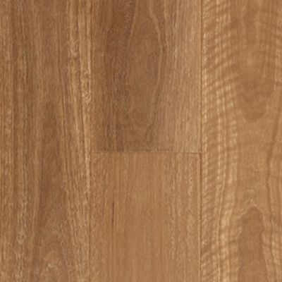 Aspire Hybrid Click QLD Spotted Gum