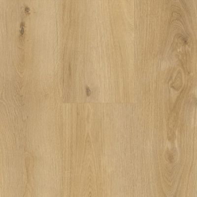 Aspire Hybrid Click Sandy Bluff